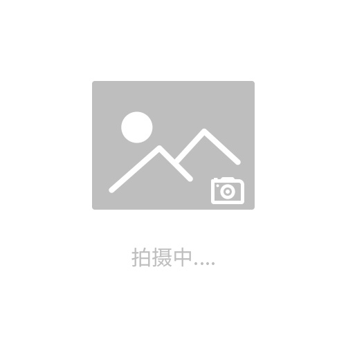 橫瀝65Mn高強(qiáng)度彈簧鋼線